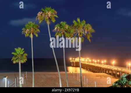 Palmiers et jetée à Manhattan Beach la nuit. Voyage de mode et concept de plage tropicale. Banque D'Images