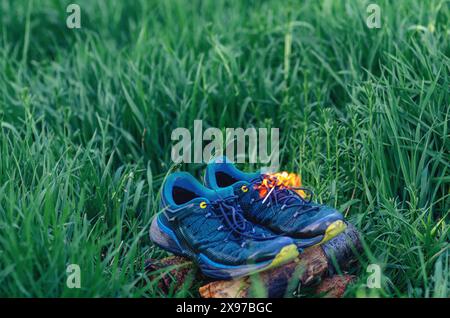 Baskets de sport dans l'herbe verte. Baskets brûlantes. Banque D'Images