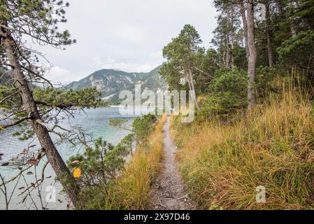 Paysage d'un petit sentier qui longe un lac clair (Plansee) en automne au Tyrol Banque D'Images