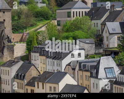 Vue sur les toits et les bâtiments d'un centre-ville historique entouré de verdure, vue sur un quartier historique d'une grande ville par la mer avec beaucoup de Banque D'Images