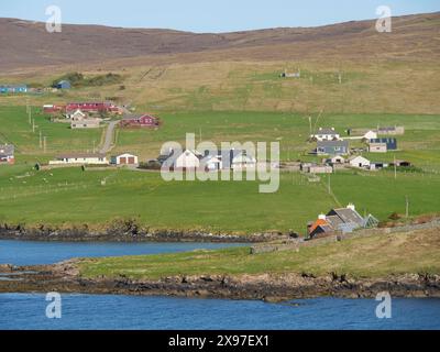 Village rural avec des maisons dispersées sur des collines verdoyantes sur la côte sous un ciel bleu clair, prairies vertes par la mer avec rivage rocheux et ruines, Lerwick Banque D'Images