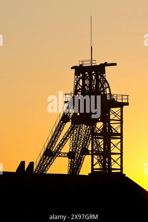 Tête Tomson-buck au lever du soleil atmosphérique, ancienne mine de charbon Gneisenau, Dortmund, Rhénanie du Nord-Westphalie, Allemagne Banque D'Images