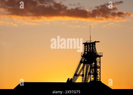 Tête Tomson-buck au lever du soleil atmosphérique, ancienne mine de charbon Gneisenau, Dortmund, Rhénanie du Nord-Westphalie, Allemagne Banque D'Images