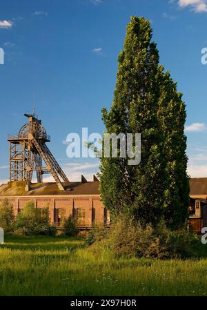 Parc de quartier de Gneisenau avec salle des machines et Tomson-buck, Dortmund, région de la Ruhr, Rhénanie du Nord-Westphalie, Allemagne Banque D'Images