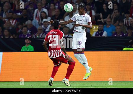 Athènes, Grèce. 29 mai 2024. Rodinei Marcelo de Almeida de l'Olympiacos FC et Christian Kouame de l'ACF Fiorentina lors de la finale de la Conference League 2023/2024 entre l'Olympiacos FC et l'ACF Fiorentina au stade AEK Arena à Athènes (Grèce), le 29 mai 2024. Crédit : Insidefoto di andrea staccioli/Alamy Live News Banque D'Images