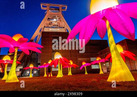 Feiern zum 25. Jubiläum der route der Industriekultur im Ruhrgebiet, mehrtägige Feste, Höhepunkt ist die Extraschicht, die lange Nacht der Industriekultur, hier Leuchtende Blumen illumination an der Zeche Zollverein Essen, Doppelbock Fördergerüst Schacht 12,NRW, Deutschland, Allemagne route der Industriekultur *** célébrations pour marquer le 25ème anniversaire de la route du patrimoine industriel dans la région de la Ruhr, festivals de plusieurs jours, le point culminant est l'Extraschicht, la longue nuit du patrimoine industriel, ici illuminant les fleurs à la mine Zollverein à Essen, Doppelbock pithead Winding t Banque D'Images