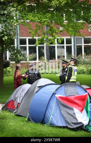 Des policiers parlent à un représentant du camp dans le camp de résistance pour la Palestine après avoir confisqué un drapeau nationaliste irlandais d'une organisation interdite. Les étudiants et les partisans ont occupé Brunswick Park maintenant rebaptisé Dr Adnan Al-Bursh Park depuis le 1er mai. Les étudiants ont intensifié leur occupation en prenant possession du Whitworth Hall à l'Université de Manchester le 24 mai où les examens de fin d'année ont généralement lieu. Les manifestants exigent que l'Université cesse d'armer Israël et mette fin à leur complicité dans le génocide. Ils ont insisté pour que l'Université mette fin à leur partenariat avec Banque D'Images