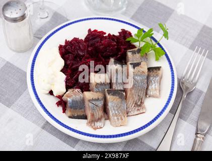 Salade de hareng appétissante avec betteraves, crème sure et persil dans une assiette blanche Banque D'Images