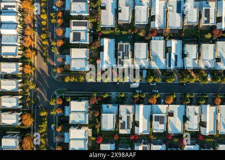 Vue aérienne en fin d'après-midi des rues aux feuilles d'automne bordées de maisons australiennes modernes de taille similaire dans les banlieues de Sydney en pleine croissance. Banque D'Images