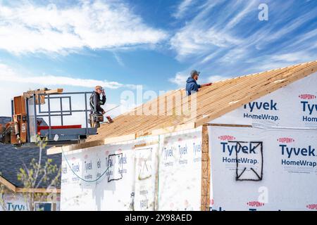 Airdrie Alberta Canada, 21 mai 2024 : constructeurs de maisons construisant une nouvelle maison debout à travers des fermes de toit et travaillant à partir d'un véhicule élévateur. Banque D'Images