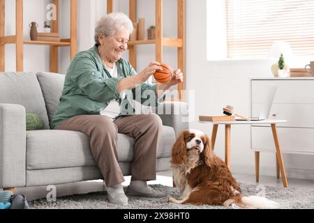 Femme senior jouant avec le chien mignon cavalier King Charles spaniel à la maison Banque D'Images