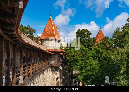 Remparts et tours dans la vieille ville de Tallinn, Estonie Banque D'Images