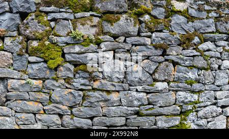 Gros plan d'un vieux mur usé construit de pierres sèches grises avec de la mousse et du lichen poussant dessus. Texture pour l'arrière-plan Banque D'Images