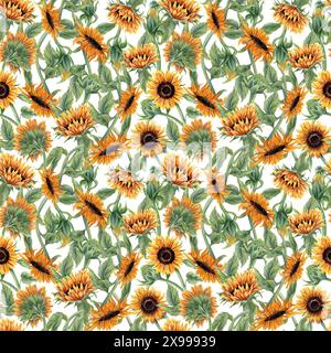 Champ de tournesol en fleurs. Tiges de fleurs entrelacées. Motif sans couture. Fleurs jaune orangé. Tournesols avec feuilles et bourgeons. Banque D'Images