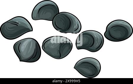 Calodendrum Seeds illustration détaillée colorée. Vecteur isolé pour la conception ou la décoration. Illustration de Vecteur