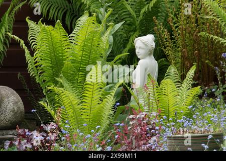 Fougère à volant, fougère à autruche, fougère à plumes d'autruche, Matteuccia struthiopteris, marbre, statue en albâtre d'une femme dans une fernery, Royaume-Uni Banque D'Images