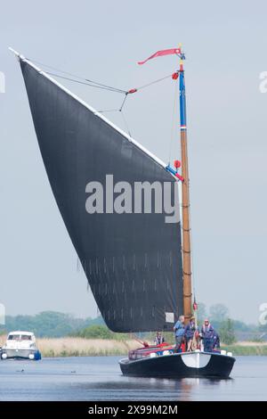 Les gens naviguent sur un bateau à voile traditionnel wherry sur la rivière Bure, Norfolk Broads. Juin Banque D'Images