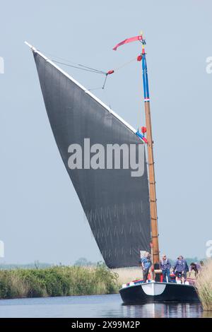 Les gens naviguent sur un bateau à voile traditionnel wherry sur la rivière Bure, Norfolk Broads. Juin Banque D'Images