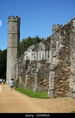 The Guest Range Undercrofts à Battle Abbey. Banque D'Images