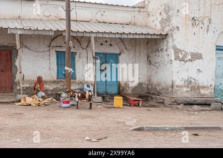 Scène de rue à Tadjourah, République de Djibouti, Afrique Banque D'Images