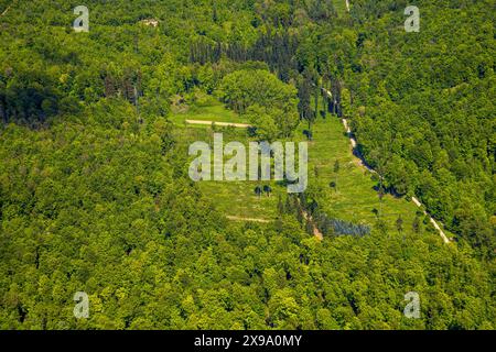 Luftbild, NSG Naturschutzgebiet Hinnenburger Forst mit Emder Bachtal, Waldfläche mit Baumschutzhüllen, Erwitzen, Nieheim, Ostwestfalen, Nordrhein-Westfalen, Deutschland ACHTUNGxMINDESTHONORARx60xEURO *** photo aérienne, réserve naturelle Hinnenburger Forst avec Emder Bachtal, zone forestière avec couvert forestier, Erwitzen, Nieheim, Westphalie orientale, Rhénanie-du-Nord-Westphalie, Allemagne ATTENTIONxMINDESTHONORARx60xEURO Banque D'Images