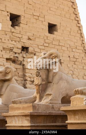 Avenue of Rams, Temple de Karnak, Louxor, Égypte Banque D'Images