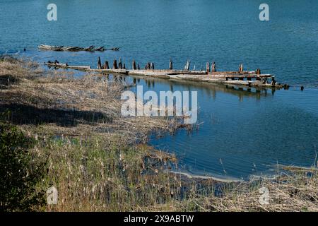 RESTES DE NAUFRAGE EN BOIS, Lumparland, Åland : restes de la coque d'un navire en bois échouée sur une plage de Lumparland, Åland, mer Baltique, Finlande. Photo : Rob Watkins. INFO : Lumparland est une municipalité des îles Åland, en Finlande, connue pour ses paysages pittoresques et son patrimoine maritime. Il offre de magnifiques côtes, des forêts luxuriantes et des sites historiques, dont l'église de Lumparland, ce qui en fait une destination charmante pour les passionnés de nature et d'histoire. Banque D'Images