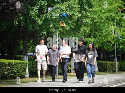 (240530) -- CHENGDU, 30 mai 2024 (Xinhua) -- Zhong Yuanzhang (C) communique avec des collègues de l'Institut chinois de l'énergie nucléaire à Chengdu, dans la province du Sichuan, au sud-ouest de la Chine, le 24 mai 2024. Zhong était le concepteur en chef adjoint du projet d'énergie nucléaire Hualong de l'Institut de l'énergie nucléaire de Chine. Depuis qu'il a obtenu son diplôme de l'Université des sciences et de la technologie de Chengdu (aujourd'hui Université du Sichuan) avec spécialisation en génie chimique en 1986, Zhong a participé à la conception de structures de réacteurs et à la R&d de plus de la moitié des centrales nucléaires chinoises. (Xinhua/Liu Kun) Banque D'Images