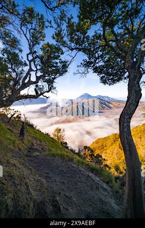 Incroyable Mont Bromo volcan pendant le ciel ensoleillé du point de vue de King kong sur la montagne Penanjakan dans le parc national de Bromo Tengger Semeru, Java oriental, Indonésie Banque D'Images