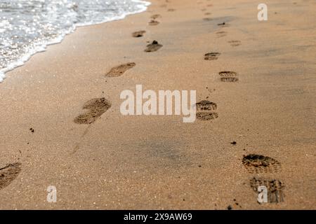 Une scène tranquille se déroule comme une séquence d'empreintes distinctes gravent un chemin sur une plage de sable, menant à la douce étreinte des vagues de l'océan. Banque D'Images