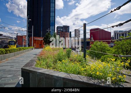 Fleurs de printemps à la station de tramway Deansgate Castlefield Banque D'Images