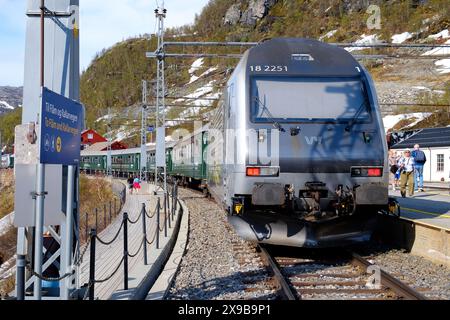 Un train à la station de haute montagne de Myrdal, à 866 mètres au-dessus du niveau de la mer sur la voie ferrée de Flåm, Norvège. Banque D'Images