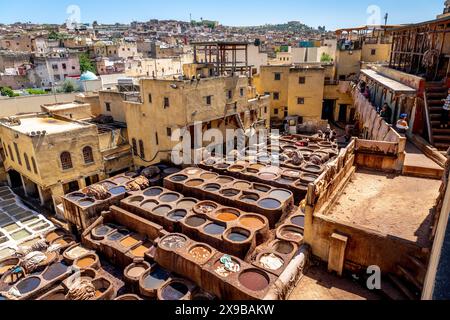 Tannerie Houwara à Fès, emblématique site de teinture traditionnelle du cuir, Maroc Banque D'Images