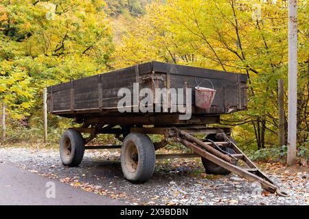 Gabala. Azerbaïdjan. 10.31.2021.Vieux tracteur remorque dans la forêt d'automne. Banque D'Images