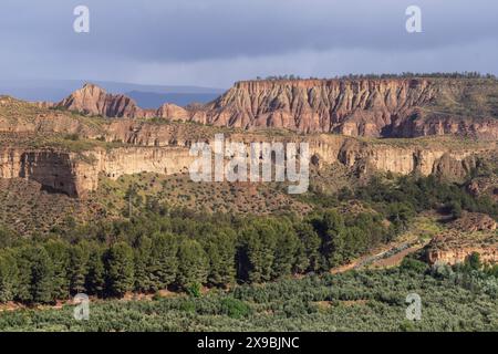 Beas de Guadix, Géoparc de Grenade, province de Grenade, Andalousie, Espagne Banque D'Images