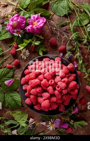 Framboises fraîches juteuses sur une assiette noire. L'été encore la vie avec, framboises, fleurs et herbes de prairie. Vue du dessus. Banque D'Images