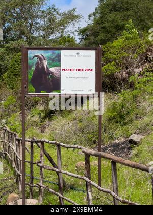 Collines de Kannan Devan, Kerala, inde - 18 mai 2024 : Parc national d'Eravikulam situé dans les collines de Kannan Devan. Il est situé dans le Devikulam Taluk de Banque D'Images
