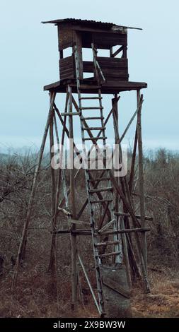 Tour abandonnée dans la forêt. Les vieux chasseurs s'assoient dans les bois. Banque D'Images