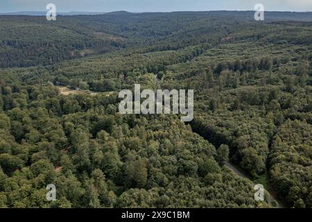 Vue aérienne d'une forêt allemande avec route Banque D'Images