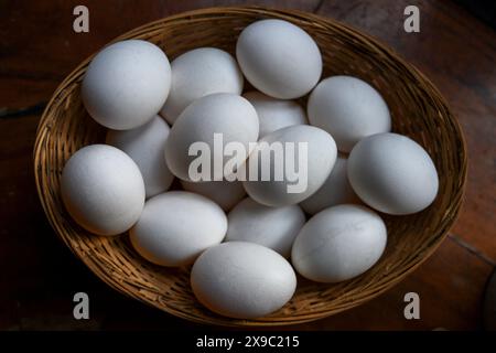 Groupe d'œufs de poule blancs dans un panier Banque D'Images