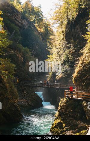 Le soleil d'automne frappe la gorge de Vintgar, un sentier de randonnée populaire le long d'un canyon creusé par la rivière Radovna Banque D'Images