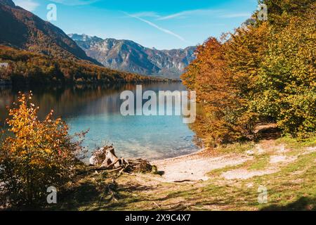 Une vue panoramique sur le lac Bohinj en Slovénie, avec un feuillage d'automne coloré reflété dans les eaux claires. Banque D'Images