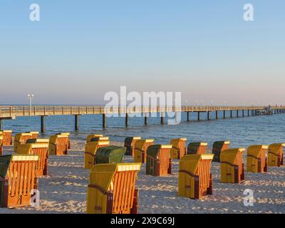 Chaises de plage à un quai sur la plage au coucher du soleil, atmosphère calme, atmosphère d'automne sur la plage de Binz avec des chaises de plage d'arbres dans la lumière du matin Banque D'Images