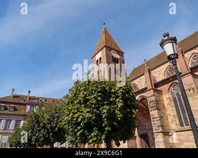 Vue d'une église gothique avec une haute tour et des arbres le long de la route sous un ciel bleu, façades de maisons historiques et une grande église en Alsace, Wissembourg Banque D'Images