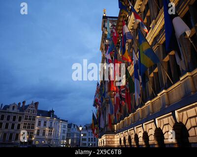 Bâtiments avec de nombreux drapeaux et façades la nuit, la place du marché historique d'Anvers la nuit, anvers, belgique Banque D'Images