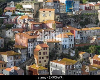 Vue historique d'une vieille ville avec des maisons colorées et des toits rouges, printemps dans la vieille ville de Porto sur le Douro avec des maisons historiques, Porto, portugal Banque D'Images