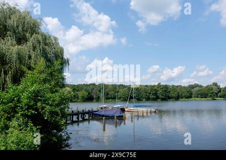 Bateaux sur une jetée tranquille sur un lac dans un ciel ensoleillé, entouré par la nature, petit lac avec des arbres et des plantes vertes sur le rivage, borken, allemagne Banque D'Images