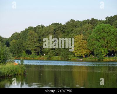 Un lac calme et boisé avec un rivage vert naturel et réfléchissant l'eau dans une atmosphère estivale paisible, des arbres verts et des buissons sur un petit lac avec Banque D'Images