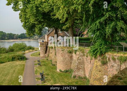 Une vieille maison sur une rive de rivière avec jardin et arbres verts, mur au premier plan, ambiance estivale, la promenade de Rees sur le Rhin avec vert Banque D'Images