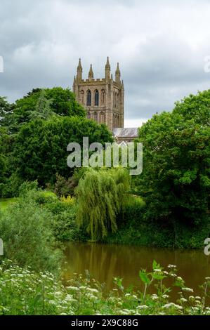 La rivière Wye avec vue sur la cathédrale de Hereford Hereford Angleterre Royaume-Uni Banque D'Images